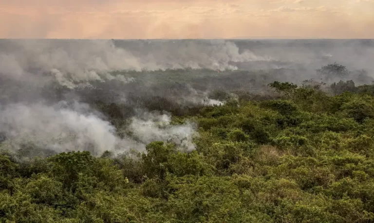 pantanal-podera-ter-crise-hidrica-historica-em-2024,-aponta-estudo