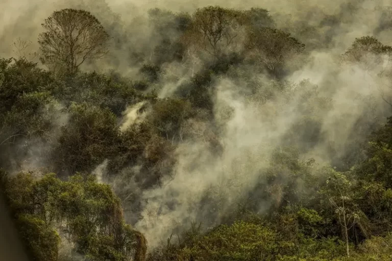 brasil-arde-em-queimadas:-fogo-avanca-na-amazonia,-cerrado-e-pantanal