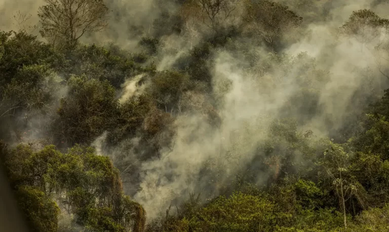 incendios-podem-ter-degradado-9%-do-pantanal-nos-ultimos-cinco-anos