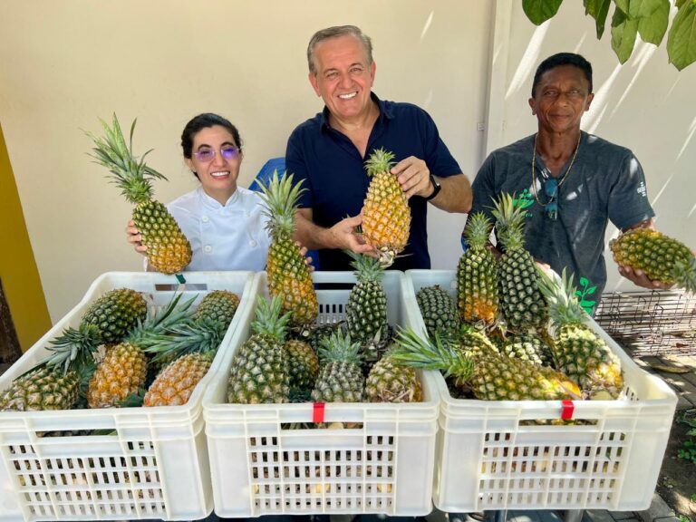 sebrae-am-promove-encontro-de-negocios-entre-grupo-banzeiro-e-agricultores-familiares-do-careiro-da-varzea-impulsionando-o-mercado-de-abacaxi-organico