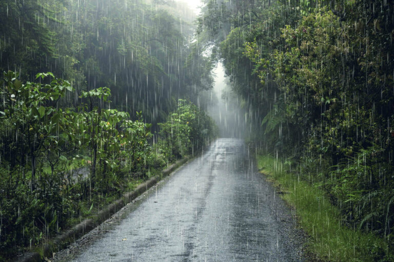 alerta:-vem-chuva-e-depois-queda-forte-na-temperatura