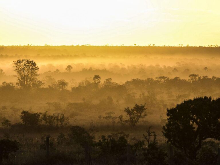 viu-esta?-la-nina-a-vista:-brasil-se-prepara-para-mudancas-no-clima