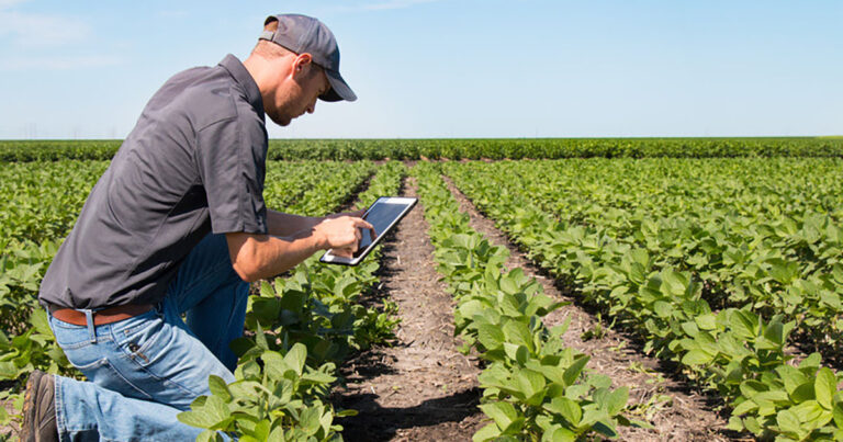 desafio-de-startups-do-agro-busca-solucao-para-rastreamento-e-gestao-do-inventario-de-amostras-de-folhas-de-soja