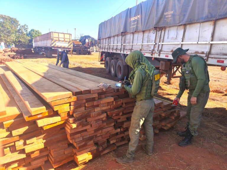 policia-militar-apreende-carretas-com-carga-de-madeira-de-castanheiras