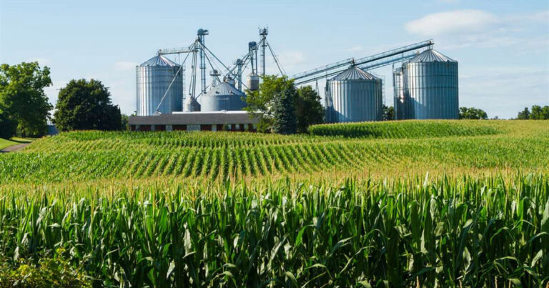 impactada pelas chuvas no rio grande do sul,-a agroindustria contrai em maio, e o que revela a pesquisa do fgvagro