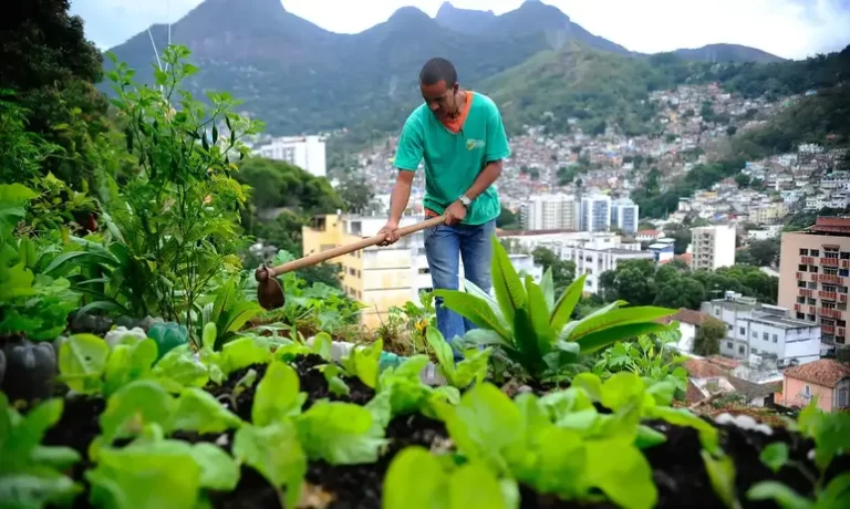 nova-lei-pretende-estimular-a-producao-de-alimentos-nas-cidades