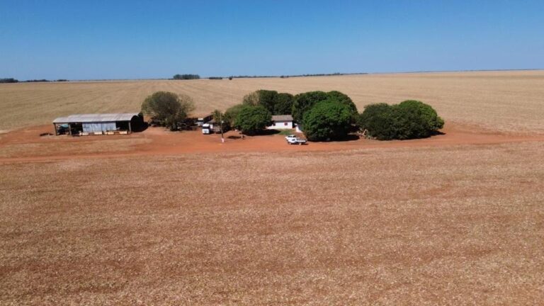 area-de-2,4-mil-hectares-que-pertencia-a-banco-do-mato-gosso-vai-a-leilao