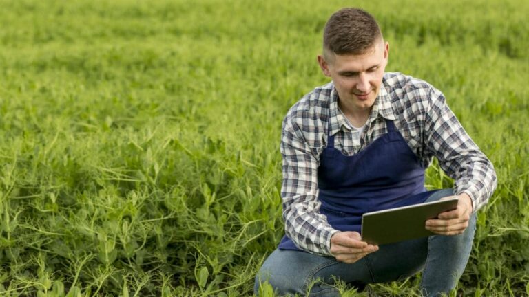 reducao-de-custos-na-fazenda:-dicas-praticas-para-produtores-rurais