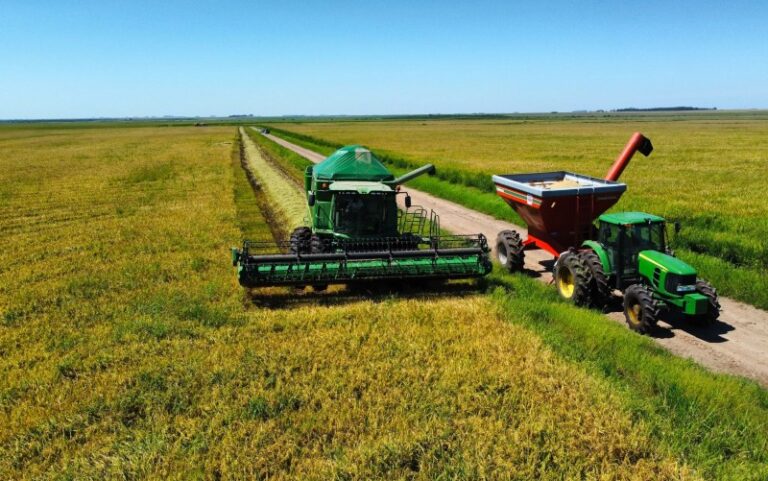 fenarroz-destaca-a-reconstrucao-do-agronegocio-em-mais-uma-edicao-da-feira