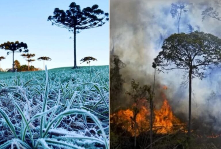 gelo-e-fogo:-geadas-no-sul-e-calor,-seca-e-incendios-no-restante-do-pais