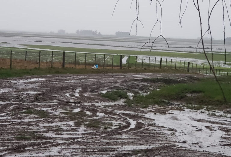 aprovada-prorrogacao-de-dividas-para-produtores-atingidos-por-desastres-climaticos