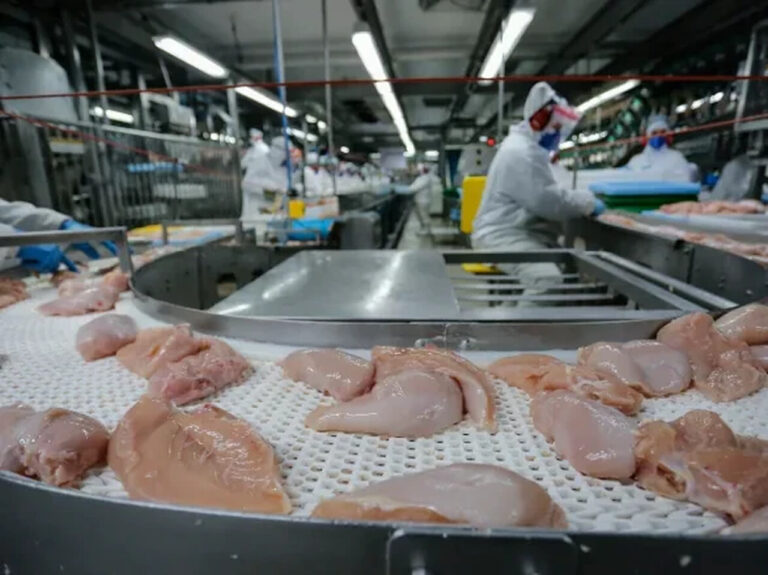 china-retoma-compra-carne-de-frango-do-brasil;-estabelecimentos-do-rs-continuam-suspensos