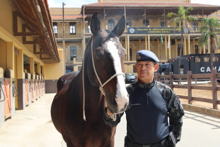 cavalo-da-pm-prestes-a-se-aposentar:-sargento-quer-adota-lo-apos-14-anos-juntos