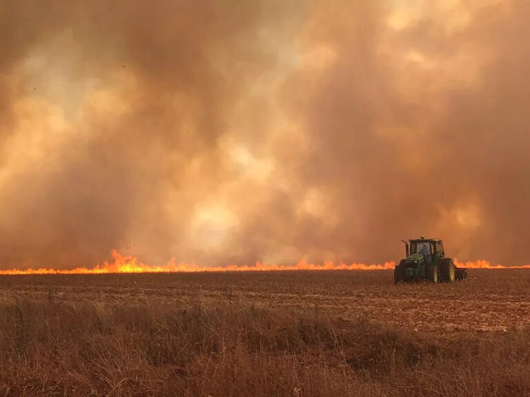 incendio-em-lavoura-faz-cidade-desaparecer-na-fumaca