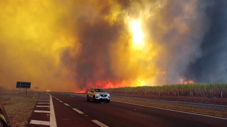 sp-cria-gabinete-de-crise-para-combater-incendios-intensos;-30-cidades-estao-em-alerta