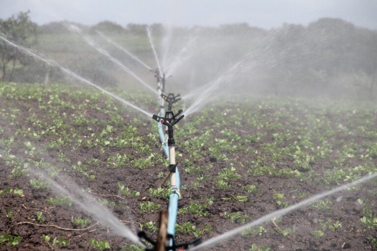 plataforma-de-internet-das-coisas-ajuda-produtores-a-planejar-o-uso-de-agua-com-precisao