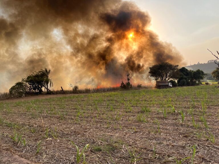 governo-de-sp-lanca-pacote-de-r$-10-milhoes-para-produtores-rurais-afetados-por-incendios