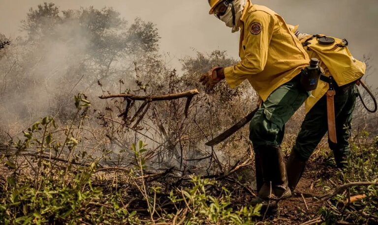 pantanal:-incendios-ja-consumiram-mais-de-15%-do-bioma-em-2024