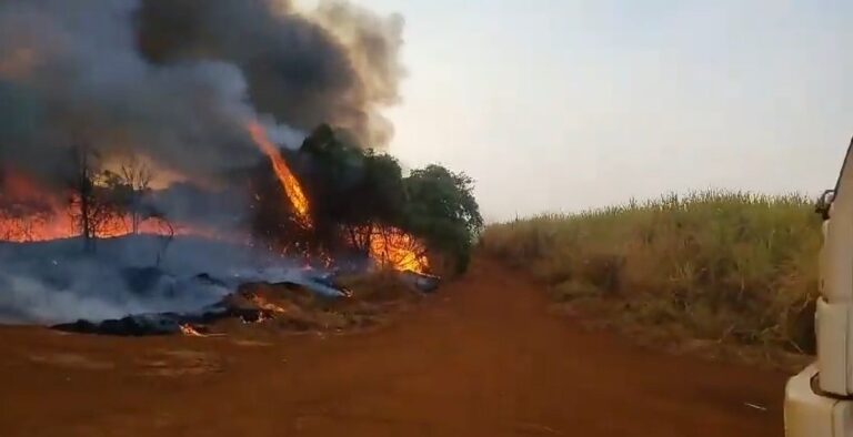 video:-incendio-atinge-canavial-em-minas-gerais