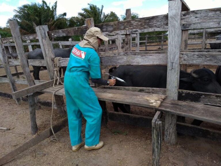 projeto-fortalece-transparencia-de-normas-da-defesa-agropecuaria