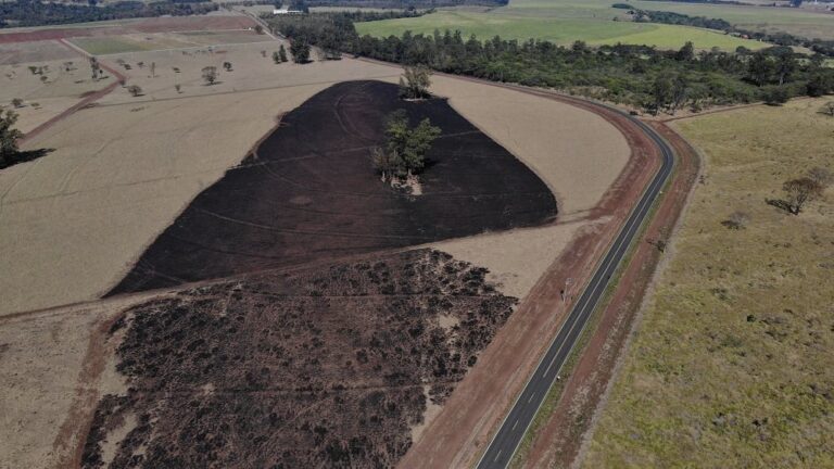 incendios-reduzem-a-qualidade-do-solo-e-aumentam-os-custos-de-producao