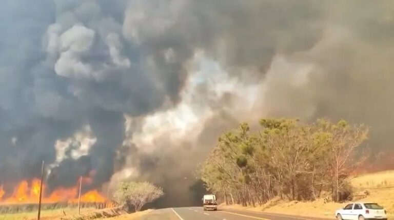 defesa-civil-de-sp-estende-alerta-de-risco-elevado-para-incendios