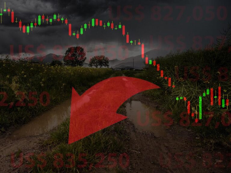 pib-da-agropecuaria-cai-2,3%-no-2o-trimestre,-enquanto-industria-sobe-1,8%