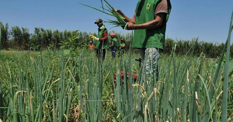 agricultores-gauchos-vao-passar-a-utilizar-o-cadastro-ambiental-rural-do-governo-federal