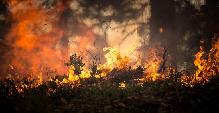 grande-incendio-atinge-floresta-nacional-de-brasilia-e-ameaca-propriedades-rurais