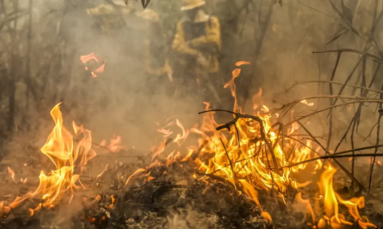 mais-de-230-mil-hectares-de-cana-de-acucar-foram-atingidos-pelos-incendios