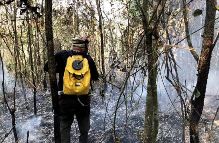 entenda-por-que-sp-fechou-unidades-de-conservacao-para-prevenir-incendios