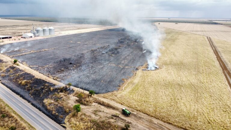 exclusivo:-produtores-afetados-por-incendios-poderao-captar-recursos-do-renovagro