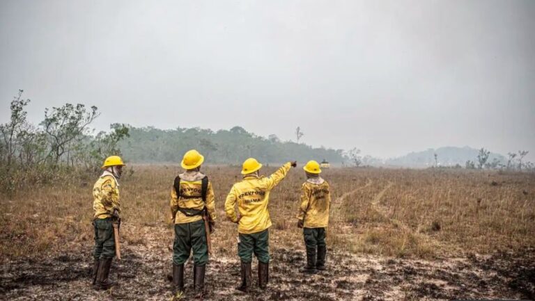 ministro-estabelece-modelo-de-gastos-semelhante-ao-da-pandemia-de-covid-para-combate-a-incendios