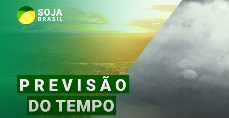 chuvas-em-breve-nas-regioes-produtoras-da-soja?-confira-a-previsao-do-tempo