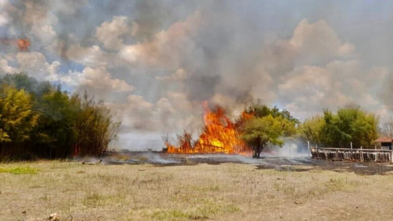 cna-faz-12-recomendacoes-aos-produtores-impactados-por-incendios