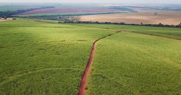 manejo-microbiologico-do-solo-maximiza-recursos-e-resiliencia-climatica 