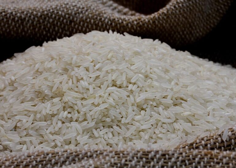 conab-recebe-quase-r$-1-bi-para-compra-de-ate-500-mil-toneladas-de-arroz