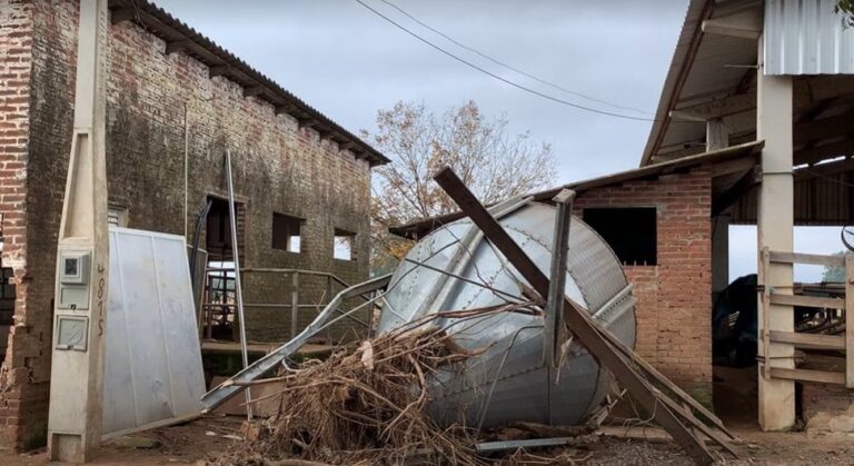 proximos-prefeitos-do-rs-terao-de-lidar-com-prejuizos-bilionarios-da-agropecuaria