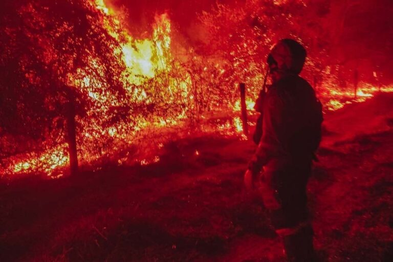 orplana-repudia-pontos-de-decreto-que-endurece-punicoes-a-incendios-em-propriedades-rurais